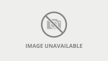 Beautiful Lesbians Suck Their Pussy By The Bed