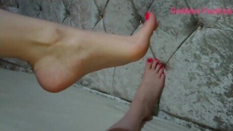 You can only dream of worshipping feet as pretty as mine